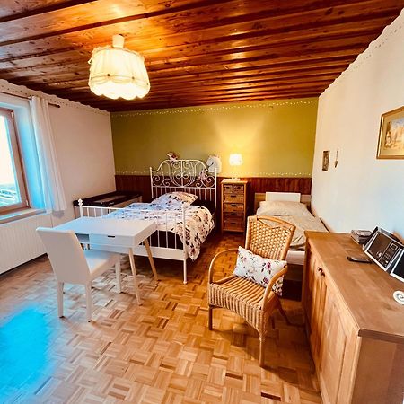 Familienapartments Mit Balkon Und Garten Ober-Lembach Exterior foto